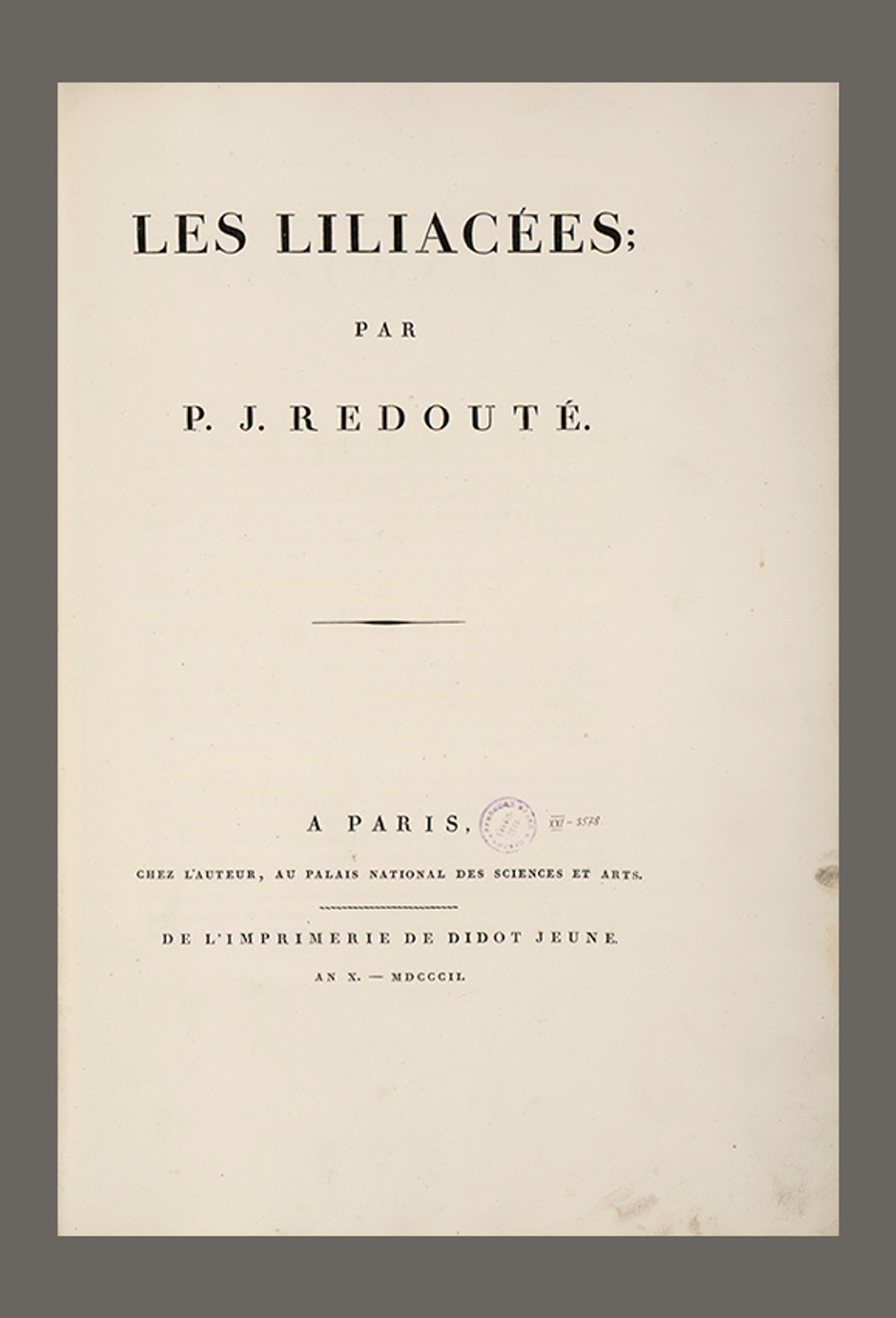 Изображение Лилии