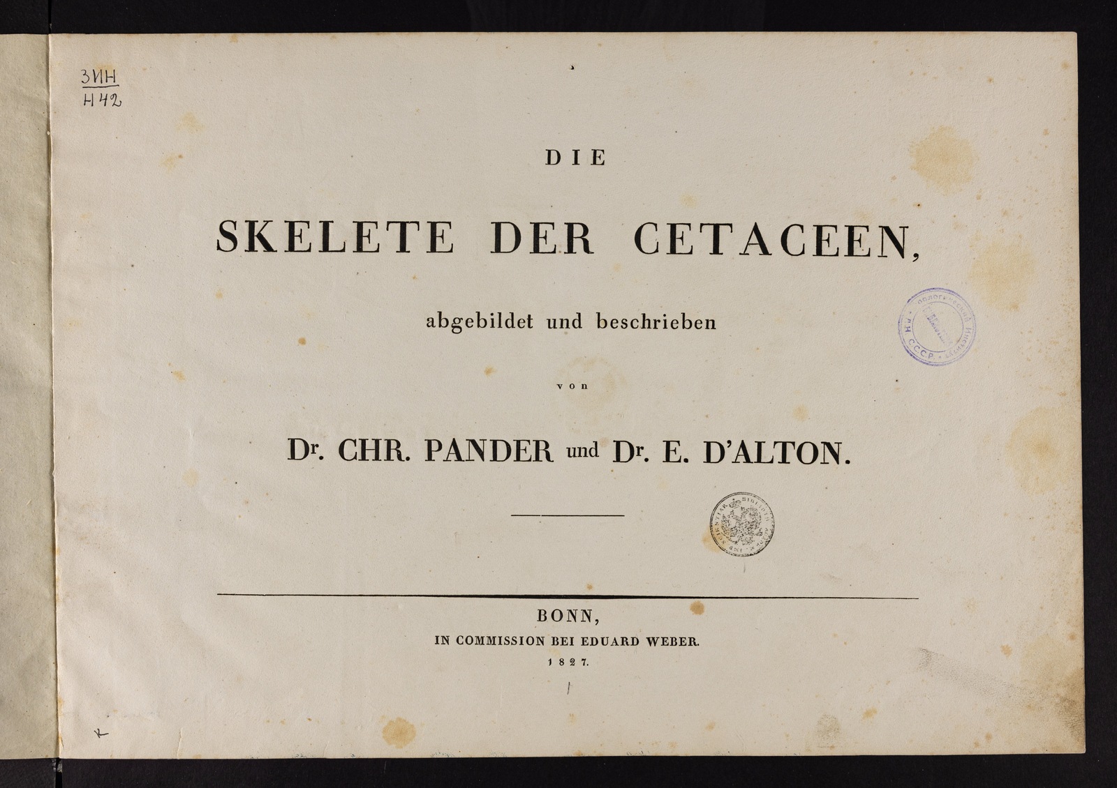 Изображение Die vergleichende Osteologie. Abt. 1, Lfg. 10